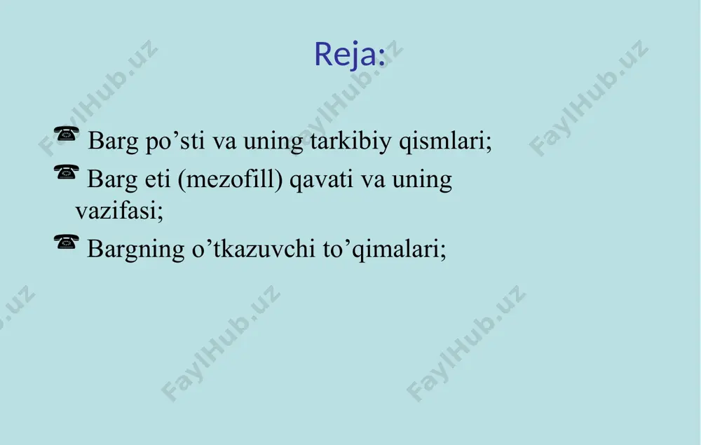 barglarning ichki tuzilishi - Page 2