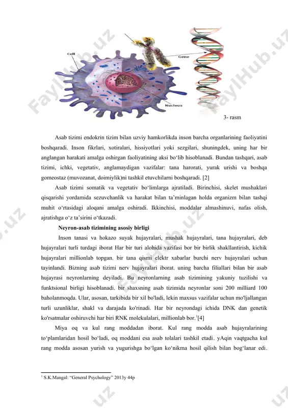 nizm bilan tashqi muhit o‘rtasidagi aloqani amalga oshiradi. ikkinchisi, moddalar almashinuvi, nafas olish, ajratishga o‘z ta’sirini o‘tkazadi. neyron-asab tizimining asosiy birligi inson tanasi va hokazo suyak hujayralari, mushak hujayralari, tana hujayralari, deb hujayralari turli turdagi iborat har bir turi alohida vazifasi bor bir birlik shakllantirish, kichik hujayralari millionlab topgan. bir tana qismi elektr xabarlar burchi nerv hujayralari uchun tayinlandi. bizning asab tizimi nerv hujayralari iborat. uning barcha filiallari bilan bir asab hujayrasi neyronlarning deyiladi. bu neyronlarning asab tizimining yakuniy tuzilishi va funktsional birligi hisoblanadi. bir shaxsning asab tizimida neyronlar soni 200 milliard 100 baholanmoqda. ular, asosan, tarkibida bir xil bo'ladi, lekin maxsus vazifalar uchun mo'ljallangan turli uzunliklar, shakl va darajada ko'rinadi. har bir neyrondagi ichida dnk dan genetik ko'rsatmalar oshiruvchi har biri rnk molekulalari, millionlab bor. [4] miya oq va kul rang moddadan iborat. kul rang modda asab hujayralarining to‘plamlaridan hosil bo‘ladi, oq moddani esa asab tolalari tashkil etadi. yaqin …