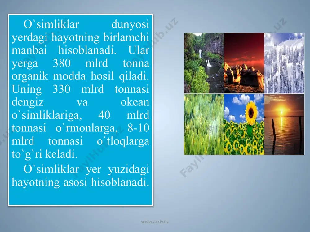o'simliklar va hayvonot dunyosining ahamiyati - Page 5