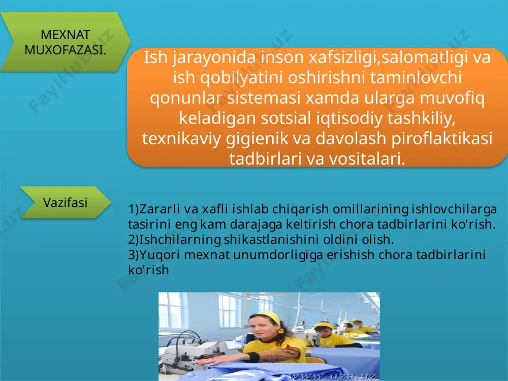 mexnat muxofazasining nazariy asoslari - Page 5