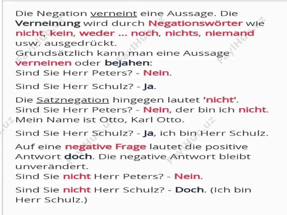 negation (verneinung) - Page 3