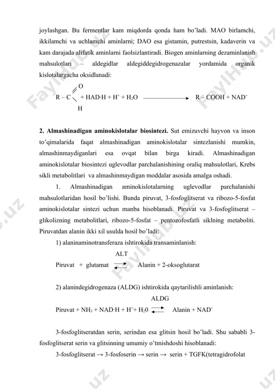 ashinmaydigan aminokislotalardan almashinadigan aminokislotalarning sintezi. almashinmaydigan aminokislota fenilalanindan almashinadigan – tirozin hosil bo’ladi: fenilalanin + nadf∙h + h++ 02 tirozin + nadf+ + h20 fenilalanin almashinmaydigan aminokislota bo’lganligi uchun endogen tirozin sintezi imkoniyati chegaralangan. shuningdek, metionin sisteinga aylanishi mumkin. metionin oltingugurt manbai bo’lib hisoblanadi, molekulaning boshqa qismi esa serin hisobiga quriladi. metionin → s-adenozilmetionin → s-adenozilgomosistein → sistationin sistationin → 2-oksobutirat + nh3 + sistein to’qimalarda ornitin argininga aylanadi. ammo uning bu usul bilan hosil bo’lishi kam miqdorda, chunki u mochevina sintezi uchun substrat vazifasini bajaradi. shu sababli arginin yarim almashinadigan aminokislota bo’lib hisoblanadi. 3. almashinadigan aminokislotalarning krebs sikli metabolitlaridan sintezlanishi. aminokislotalar sintezi uchun oksaloatsetat va 2-oksoglutarat manba bo’lib hisoblanadi. oksaloatsetdan asparagin kislota va asparagin hosil bo’ladi. asparagin kislota aspartataminotransferaza ishtirokida transaminlanadi, asparagin esa asparaginsintetaza ishtirokida aminlanadi: oksaloatsetat + glutamat asparagin kislota + 2-oksoglutarat asparagin kislota + nh3 + atf asparagin + adf + fn 2-oksoglutaratdan glutamin kislota, glutamin, prolin …