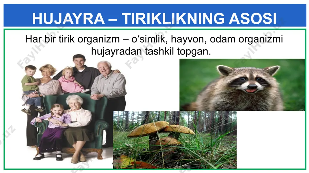 hujayra — tiriklikning asosi - Page 5