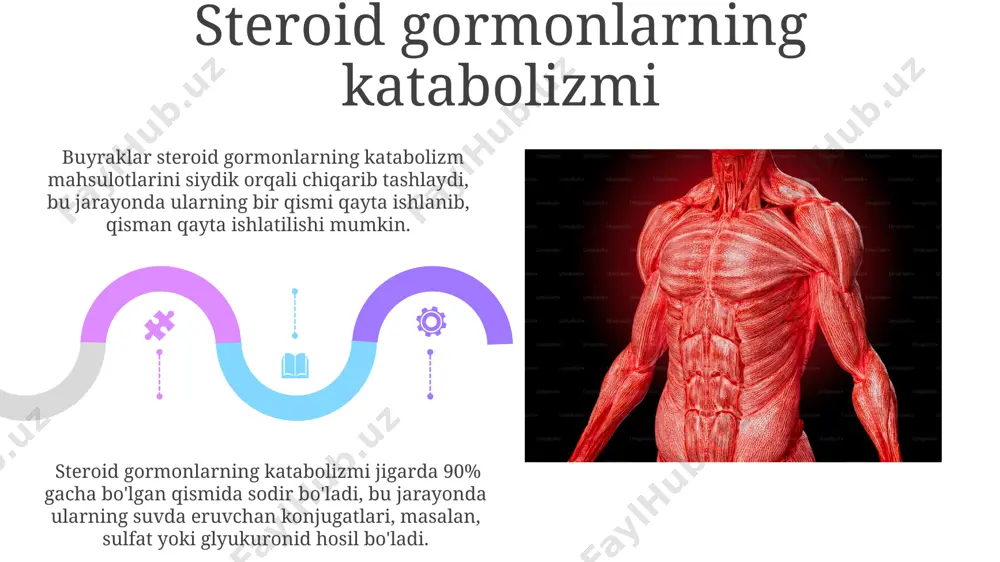 steroid gormonlar biosintezi va katabolizmi - Page 5