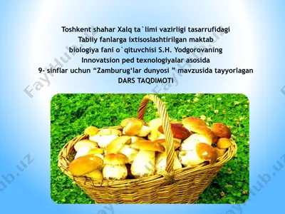 "zamburug‘lar dunyosi" dars taqdimoti — PPTX
