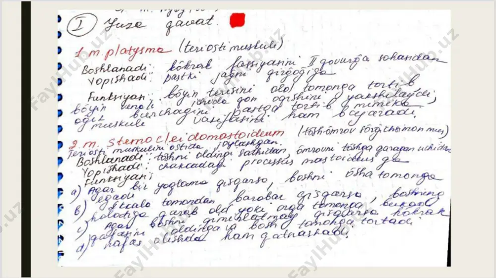 bo'yin uskullari va bo'yin topografiyasi - Page 5