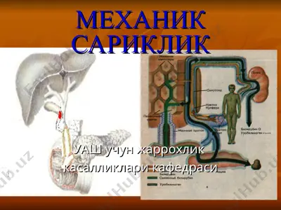 mexanik sariklik — PPT