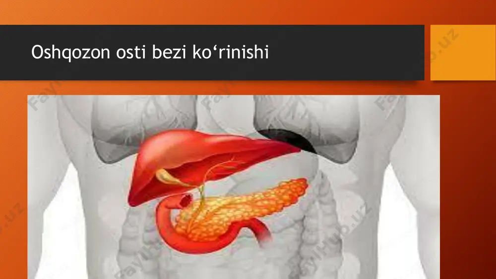 pankreatit haqida prezentatsiya - Page 3