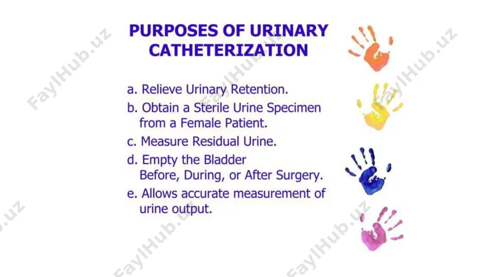 catheterization of the urinary bladder - Page 3