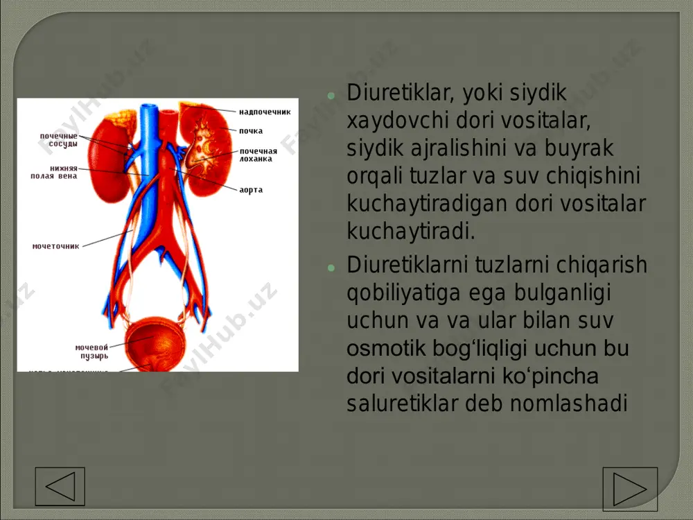 r beradigan vositalar. ● 1.1.1. natriy olib o‘tuvchiga raqobatlashadigan, yoki aldosteronning raqobatlashmaydigan antagonistlari — triamteren, amilorid. ● 1.1.2 aldosteronning raqobatlashadigan antagonistlari — spironolakton, eplerenon. ● 1.2. bazal membrana satxida ta’sir beradigan vositalar ● 1.2.1. karboangidraza ingibitorlari — diakarb. ● 1.2.2. tiazidli diuretiklar — gidroxlortiazid, siklometiazid. ● 1.2.3. tiazidsimon diuretiklar — xlortalidon, klopamid, indapamid. ● 1.2.4. xalqali diuretiklar — furosemid, etakrin kislota, bumetonid, torasemid. ● 2. osmotik faol diuretiklar — mannit, mochevina. ● 3. buyraklarda qon aylanishini kuchaytiradigan vositalar — fakultativ diuretiklar-ksantinlar, aminofillin, eufillin , yurak glikozidlari va h.k. ● 4. dorivor o‘simliklar - dala qirqbo‘g‘ini, archagul barglari, qayin kurtagi, ortosifon barglari, brusnika barglari, o‘rmon er tuti mevasi, makkajo‘xori popugi va ● h.k. ● 1. kuchli siydik xaydovchi vositalar— furosemid (laziks), torasemid (torsid, trifas), etakrin kislota (uregit), klopamid (brinaldiks), osmodiuretiklar (mannit, mochevina) i dr. ● 2. o‘rta kuchli siydik xaydovchi vositalar— tiazidlar: gidroxlortiazid (gipotiazid, dixlotiazid), siklometiazid va tiazidsimonlar — xlortalidon , …