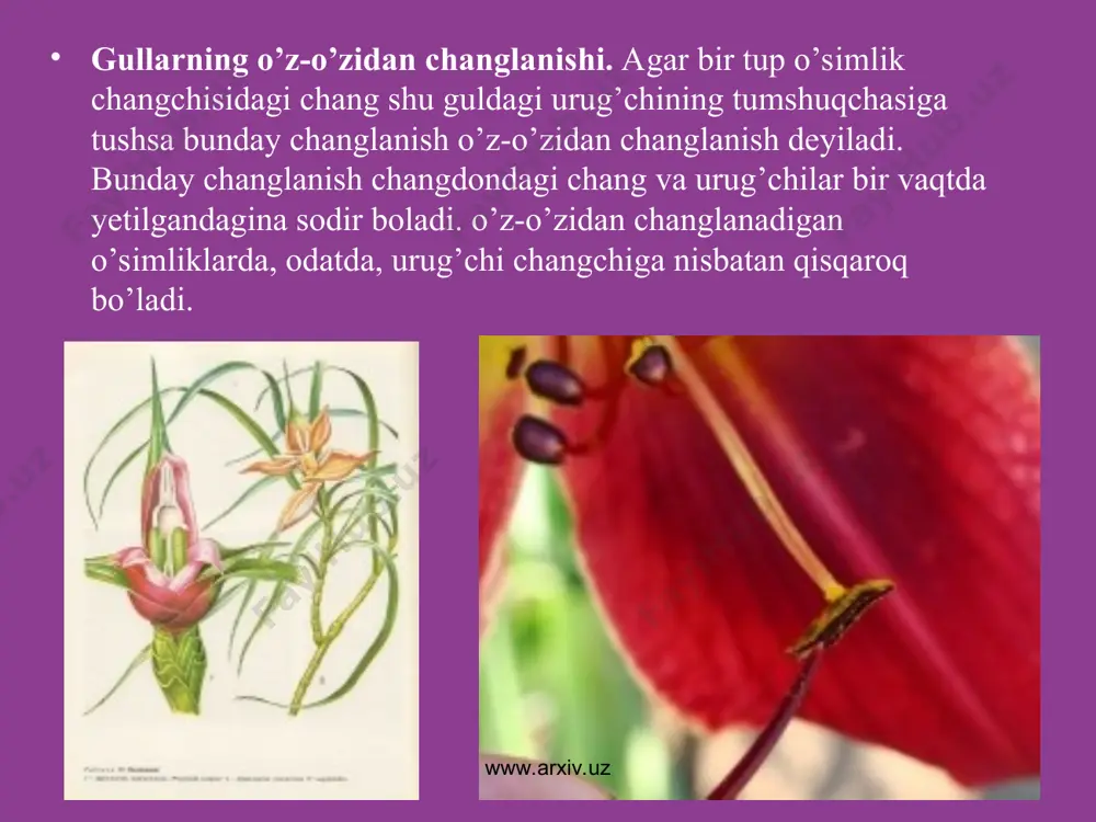 changlanish xillari. chetdan va o’z-o’zidan changlanish - Page 5