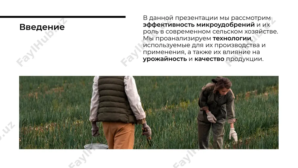 ческих веществ в почве и воде, способствуя более устойчивым методам ведения сельского хозяйства. экологические аспекты в заключение, микроудобрения представляют собой перспективное направление в агрономии. их применение может значительно улучшить урожайность, снизить затраты и помочь в решении экологических проблем, что делает их важным элементом современного сельского хозяйства. заключение