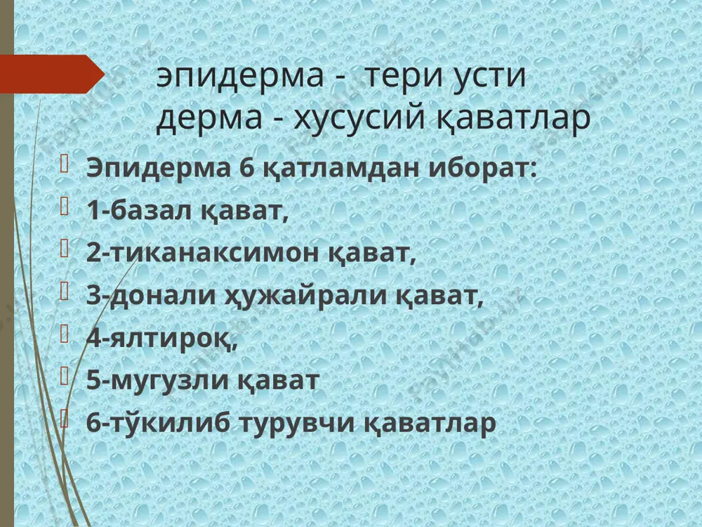 иб тез орада –биринчи ойнинг охирида сезиларли пасаяди тери чақалоқлар ва эрта ёшли болалар терисида кенг капиляр тўри жуда яхши ривожланган. вақт ўтган сари улар сони камайиб узун ва ингичка капиляр тўри сони кўпаяди. янги туғилган чақалоқ терисида нерв охирлари етарлича ривожланмаган бўлсада, функционал етукдир ,яъни улар чақалоқнинг оғриқ, тактил ҳамда ҳарорат сезгисини тўлиқ таъминлай олади. тери болалар териси юпқа, силлиқ, юзаси катталарникига нисбатан қуруқроқ ва қипиқланишга мойил бўлади. тери ва сочлар юзаси ёғ-липидли қават ёки мантия билан қопланган бўлиб, бу қават терини ташқи муҳитнинг ноқулай факторлари таъсиридан, асрайди. тери юзасига тушган кимёвий воситалар сўрилишига қаршилик қилади ёки буни секинлаштиради, витамин д ҳосил бўлишда иштирок этади ва антибактериал хусусиятга эга терининг вазифалари ҳимоя болаларда айниқса эрта ёшда терининг ҳимоя функцияси кучсиз намоён бўлади. чунки эпидермиснинг шох қавати юпқа ва унинг кератинизацияси ҳамда дерма билан боғлиқлиги етарли эмас. дерманинг бириктирувчи тўқимаси яхши ривожланмаган; ёғ безлари яхши ривожланмаганлиги сабабли териси қуруқ, унинг …