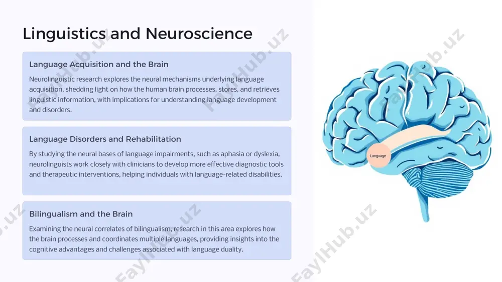 - teglar (vergul bilan): psychology, linguistics, language acquisition, psycholinguistics, neurolinguistics, language and cognition, language and emotion - Page 5