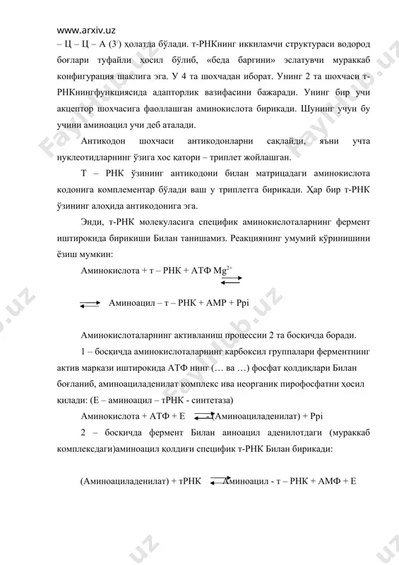 трансляция босқичлари - Page 3