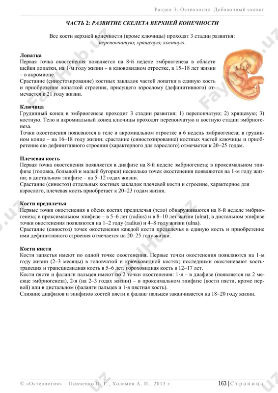 superior;  nijniy ugol, angulus inferior;  lateralniy ugol, angulus lateralis. lateralniy ugol lopatki imeet:  sustavnuyu vpadinu, cavitas glenoidalis;  sheyku lopatki, collum scapulae, – mesto prikrepleniya gubi plechevogo sustava;  nadsustavnoy bugorok, tuberculum supraglenoidale, – mesto prikrepleniya suxojiliya dlinnoy golovki bitsepsa;  podsustavnoy bugorok, tuberculum infraglenoidale, – mesto prikrepleniya suxojiliya dlinnoy golovki tritsepsa. otrostki lopatki:  akromion, acromion,  prodoljenie osti lopatki, imeet sustavnuyu poverxnost dlya sochleneniya s klyuchitsey;  klyuvovidniy otrostok, processus coracoideus. pravilo raspolojeniya: vognutaya rebernaya poverxnost vpered; ost naxoditsya dorsalno; virezka lopatki vverx; sustavnaya vpadina lateralno. razdel 3 . osteologiya. dobavochniy skelet ______________________________________________________________________________________________________________________________________________________________________________ © «osteologiya» – pivchenko p. g., xolamov a. i. , 2013 g . 167 | s t r a n i ts a 1 – fossa subscapularis; 11 – margo superior; 17 – tuberculum infraglenoidale; 7 – facies articularis clavicularis; 12 – incisura scapulae; 18 – collum scapulae; 9 – margo medialis; …