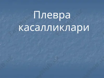 плевра касалликлари — PPTX