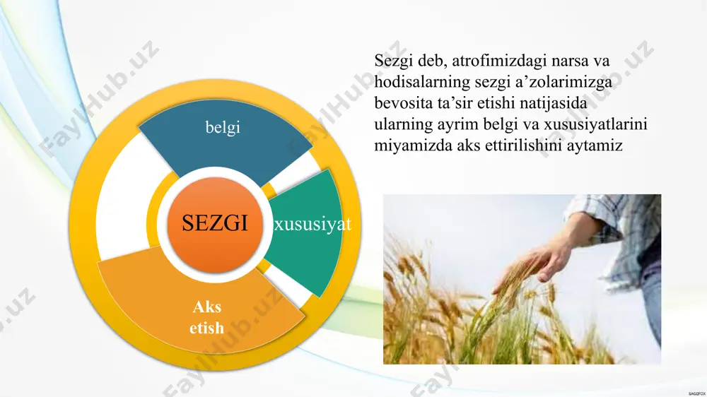 tashqi ta’sirlarga moslashishi natijasida sezgirlik darajasining o‘zgarishi. bu jarayon organizmni uzoq muddatli ta’sirlarga moslashtirishga yordam beradi. anesteziya anesteziya — bu og‘riq va boshqa sezgilarning vaqtincha yo‘qolishi yoki pasayishi bo‘lib, tibbiyotda jarrohlik yoki boshqa tibbiy muolajalar vaqtida bemorni og‘riqsizlantirish uchun qo‘llaniladi. 1. umumiy anesteziya – bemor butunlay hushidan ketadi, tananing barcha sezgirligi yo‘qoladi. uni operatsiyalar paytida qo‘llashadi. 2. mintaqaviy (regional) anesteziya – tananing ma’lum bir qismi og‘riqsizlantiriladi, bemor hushyor bo‘lishi mumkin. masalan, epidural anesteziya (tug‘ruq paytida). 3. mahalliy (lokal) anesteziya – tananing kichik bir qismi og‘riqsizlantiriladi, masalan, tish davolashda yoki teri kesiklarida ishlatiladi. 4. sedatsiya – bemor yengil uyqu holatiga tushadi, lekin to‘liq hushidan ketmaydi. giperesteziya giperesteziya — bu tananing sezgirligi ortib ketishi bo‘lib, bemor odatdagidan kuchliroq og‘riq, tegish yoki harorat o‘zgarishlarini his qiladi. bu holat asab tizimining haddan tashqari qo‘zg‘alishi yoki shikastlanishi natijasida yuzaga kelishi mumkin. gipesteziya gipesteziya — bu tananing ma’lum bir qismida sezgirlikning pasayishi yoki yo‘qolishi. bu holat …
