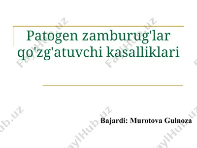 patogen zamburug'lar qo'zg'atuvchi kasalliklari — PPTX