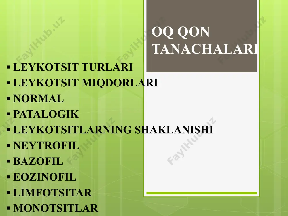 leykotsitlar miqdorining oʻzgarishlari. leykotsitoz - leykotsitlar miqdorining 11000/ml dan oshishi. leykopeniya – leykotsitlar miqdorining 4000/ml dan kamayishi. leykotsitozning fiziologik sabablari: 1. yosh 2. fizik harakatlar 3. ovqatdan soʻng 4. psixik bosimlarda 5. homiladorlikda 6. past temperature leykotsitozning patologik sabablari: 1. oʻtkir bakterial infeksiyalar, asosan yiringli infeksiyalar 2. oʻtkir qon ketishi 3. kuyishda 4. operatsiyadan keyingi davrda 5. tuberkulez leykopeniya sabablari: nepiogen bakteriylar, asosan qorin tifi va paratif kabilar chaqiradigan bakterial kasaliklar virusli infeksiyalar, gripp, chechak, epidemik parotit kabilar yuqumli kasalliklar och qolish va toʻyib ovqatlanmaslik suyak koʻmigining aplaziyasi oq qon tanachalarining xosil boʻlishi oq qon tanachalarining rivojlanishi va yetilishi leykopoez deyiladi va gemopoez (qon xujayralarining shakllanishi) ning bir qismi hisoblanadi. barcha qon hujayralari ildiz hujayralraidan rivojlanadi. bir qator boʻlinishlardan keyin ildiz hujayralari koloniya hosil qiluvchi birliklar deb ataluvchi asos hujayralarga ajratiladi. leykopoezni 2 boʻlimchaga boʻlib oʻrganish mumkin: granulotsitlar va monotsitlarning hosil boʻlishi limfotsitlarning hosil boʻlishi granulotsitlar va monotsitlarning hosil boʻlishi. …