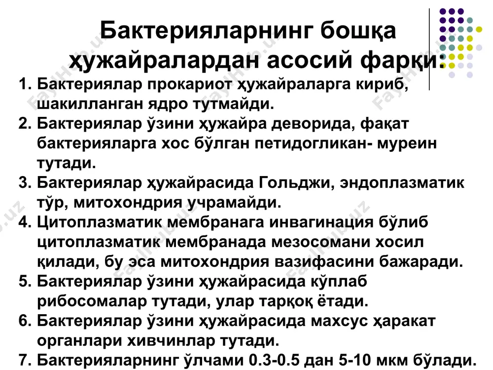 га қараб прокариотларга кирувчи эубактериялар иккита катта гуруҳга бўлинади. грам мусбат ва грам манфий. а грам мусбат бактериялар ҳужайра деворининг тузилиши (а), пептидогликаннинг химиявий структураси (б). б грам манфий бактериялар ҳужайра деворининг тузилиши грам мусбат ва грам манфий бактериялар ҳужайра девори ва цитоплазма компонентларининг кимёвий таркиби ҳужайра девори ва цитоплазма компонентлари грам мусбат бактериялар грам манфий бактериялар ички (пептидогликан) қават ташқи липополисаха ридли (ташқи мембрана) қават пептидогликан тейхой кислота липотейхой кислота полисахаридлар ёғлар липополисахаридлар липопротеинлар магнийрибонуклеат рнк ва днк нисбати цитоплазма рн + + + ± ± ─ ─ + 8 : 1 2,0-3,0 + ─ ─ ─ ─ ─ ± ─ 1 : 4 5,0 атрофида ─ ─ ─ + + + + ─ 1 : 4 5,0 атрофида бактерияларнинг морфологик ва тинкториал хусусиятлари. *спораларни жойлашуви:1-марказий; 2-субтерминал; 3-терминал хивчинлар ва киприкчалари харакат органлари жойлашишига кўра: монотрих лофотрих амфитрих перитрих расм 15. бактериялар ҳивчинлари (схема). 1 – монотрих; 2 – …