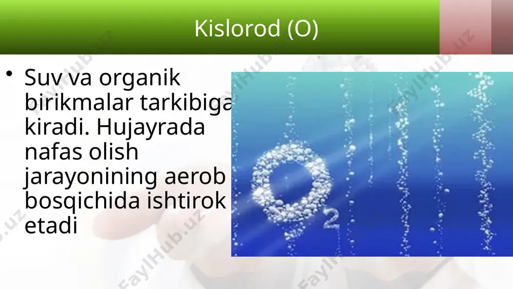 tirik organizmlarning kimyoviy tarkibi va uning doimiyligi. 10 - sinf - Page 5
