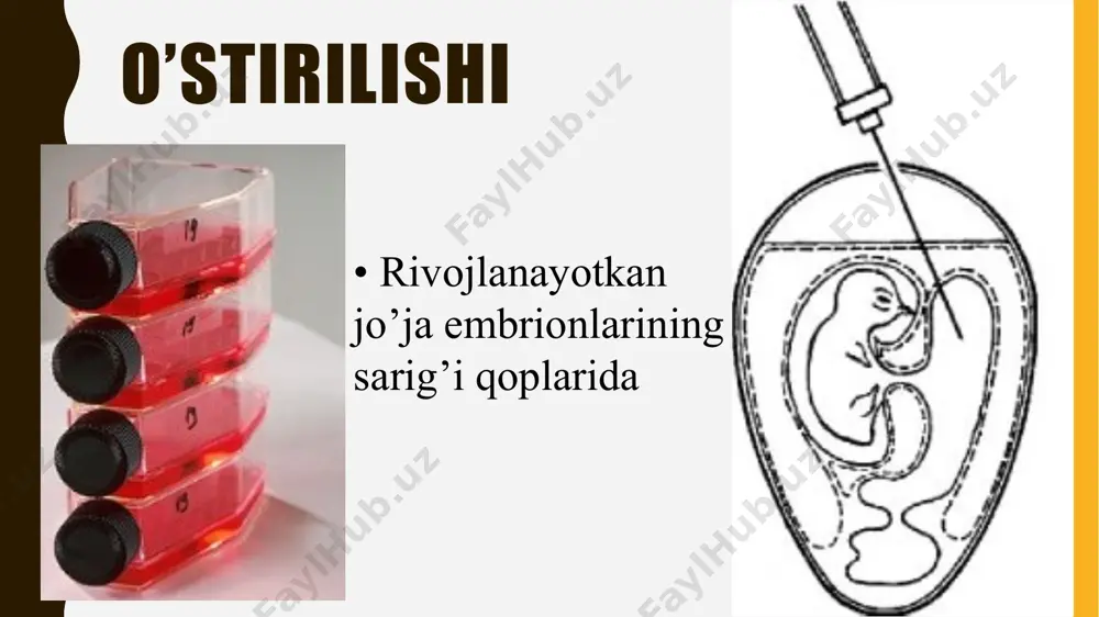 ar, qon preparatlari va qon o’rnini bosuvchi vositalar qo’yiladi. plazma profilaktikasi yaylov davri paytida xayvonlar, kanalarga qarshi va molxonalar kemiruvchilarga qarshi dezinfeksiya qilinadi. veterinar xodimlar tomonidan kasallikka gumon qilingan hayvonlarni tana harorati o’lchanadi. kasallik aniqlansa, ularni ajratib, serologik tekshiruvlar o’tkaziladi qoni tekshiriladi, tegishli tadbirlar o’tkaziladi. kasallik profilaktikasida immunizatsiya o’tkazish muxim chora-tadbirlardan biri xisoblanadi. yana suv ta’minoti va suv xavzalarining qishloq xo’jalik xayvonlari chiqindilaridan ifloslanishga yo’l qo’ymaslik, gigiyenik qoidalariga qat’iy rioya qilish muxim choralardan xisoblanadi. e’tiboringiz uchun raxmat!!! image1.jpeg image2.jpg image3.jpeg image4.gif image5.jpg image6.jpeg image7.jpeg image8.jpeg image9.jpeg image10.jpeg image11.jpeg image12.jpeg image13.jpeg image14.jpeg image15.jpeg image16.jpeg image17.png image18.png image19.jpeg image20.jpeg image21.jpg image22.jpeg image23.jpeg image24.tiff image25.jpeg image26.jpeg image27.png image28.png image29.jpeg media1.mp4 image30.png /docprops/thumbnail.jpeg