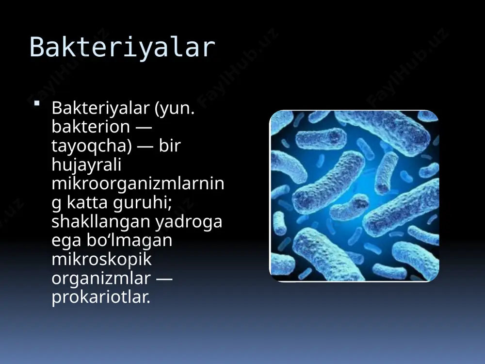 bakteriyalarning bioplyonkasi - Page 3
