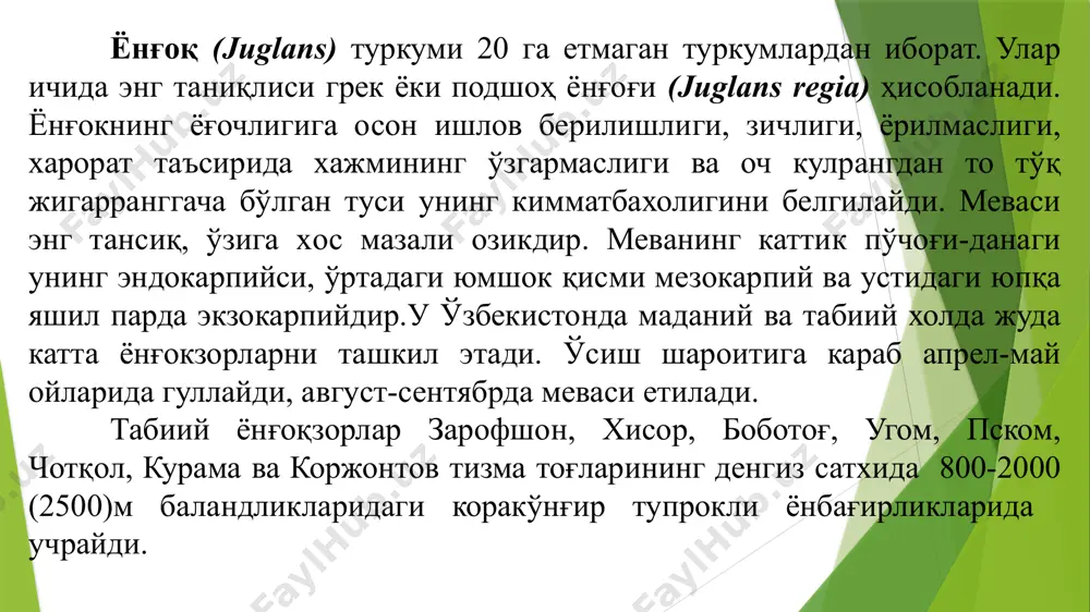 а парвариш қилиш усуллари ёнғоқникига ўхшаш. ўзбекистон шароитида 10—12 йилда ҳосил қилади. ҳар йили (20 ёшлиси 250 кг гача) ҳосил беради. меваси истеъмол этилади, қандолатчиликда, мойи озиқ овқатда ишлатилади. ёғочи ўз хоссалари жиҳатидан эман ёғочидан қолишмайди. р.р.шредер номидаги институтда пеканнинг ҳосилдор ва ўзбекистон навлари яратилган. пекан манзарали ўсимлик сифатида ҳам экилади. ёнғоқдошлар оиласи. гул ён баргчалари бор. гулқўрғони гул ён баргча билан қўшилиб ўсиб, мева пўстини меваси данакли сохта мева. мағзи буришган, йирик уруғи эндоспермасиз. ёғочи қаттиқ, чиройли ёнғоқдошлар оиласининг вакиллари асосан дарахт ўсимликлардир. уларнинг танаси баланд бўйли, сершох, кенг шох-шаббали бўлади. барглари йирик, тоқ патсимон мураккаб тузилган бўлиб, улардагн безчаларидан ҳидли эфир мойи ажралиб чикиб туради. барглари новдада навбат билан жойлашади. булар бир уйли, айрим жинсли ўсимлик, эркак гуллари кучала ҳосил килади. кучалалари барглар қўлтиғида вужудга келади. урғочи гуллари шингилчалар шаклида бўлиб, сербарг новдалар учида биттадан ёкн бир нечтадан оддий бўлиб, ҳосил қилади. уруғпаллали бўлганидан ундан мебел ва турли …