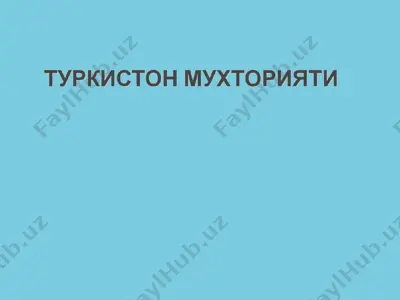 typkactoh myxtopuatu — PPT
