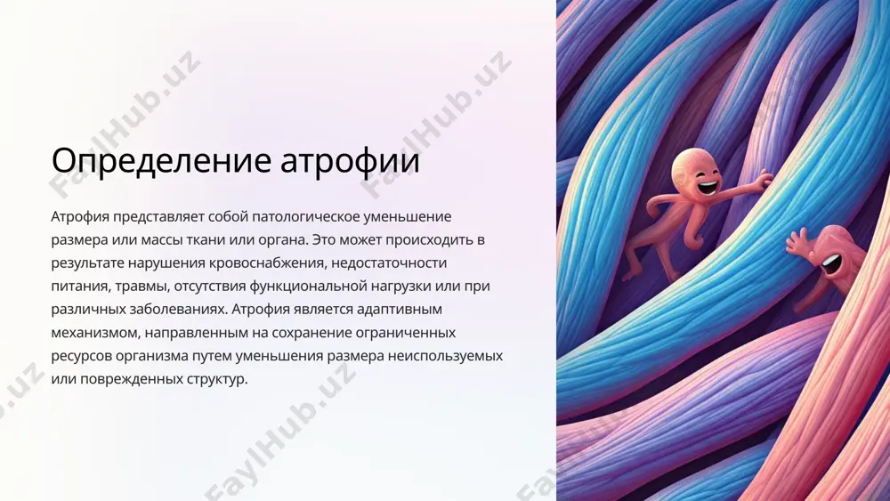 огическими, так и патологическими причинами. причины атрофии основными причинами атрофии являются нарушение трофики, снижение функциональной активности органа, нарушение его кровоснабжения, дефицит питательных веществ, а также генетические факторы и гормональные изменения. 4 классификация видов атрофии дисиспластическая атрофия этот вид атрофии связан с нарушением развития органа или ткани на эмбриональной стадии. он может быть вызван генетическими дефектами, ошибками морфогенеза или воздействием повреждающих факторов во время внутриутробного развития. дистрофическая атрофия данный тип атрофии возникает в результате нарушения обмена веществ, снижения трофического влияния нервной системы или ухудшения кровоснабжения органа. он характеризуется дегенеративными изменениями в клетках. регрессивная атрофия эта форма атрофии связана с физиологическим уменьшением размеров и массы органа в процессе старения организма. она может быть вызвана снижением функциональной активности или естественным инволюционным процессом. 5 атрофия после нарушения иннервации физиологические механизмы нервная система играет ключевую роль в поддержании структуры и функции тканей. нарушение нервной регуляции, например, при травмах или заболеваниях, ведет к отсутствию трофических и …
