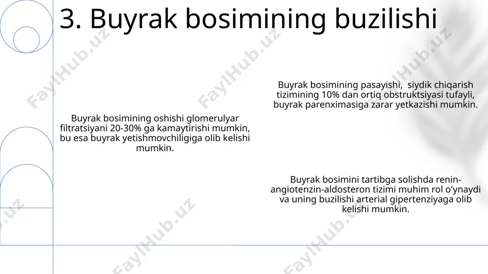 buyraklar faoliyati va bosimining o'ziga xosligi - Page 5