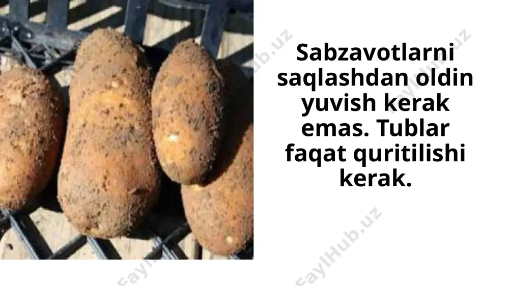 xirigacha qor bosqig'ida joylashgani - bu o'tgan yilgi hosilni saqlash shu qadar kengaygan. e’tiboriningiz uchun raxmat!!! image1.png image2.png image3.png