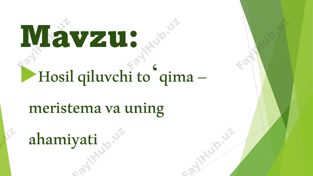 – efir moylari, smolalar va boshqa moddalarning ajralishini ta’minlaydi. meristemaning turlari (qisqacha): 1. apikal (uchki) meristema – ildiz va poya uchlarida joylashib, o‘simlikning uzunligiga o‘sishini ta’minlaydi. 2. lateral (yon) meristema – o‘simlikning yon qismlarida joylashib, qalinlashishini ta’minlaydi (masalan, kambiy). 3. interkalyar (oraliq) meristema – tugunlar oralig‘ida joylashadi, poyaning tez o‘sishini ta’minlaydi (ko‘proq donli o‘simliklarda uchraydi). meristema hujayralari mayda, shakli asosan dumaloq yoki ko‘p burchakli bo‘ladi. ular yupqa hujayra devorli, katta yadroli va vakuolasiz bo‘ladi. doimiy bo‘linish xususiyatiga ega bo‘lib, tez bo‘linadi va yangi to‘qimalarni hosil qiladi. meristema o‘simlikning ildiz, poya uchlarida (apikal), yon qismlarida (lateral) va tugun oralig‘ida (interkalyar) joylashadi. asosiy vazifalari: yangi hujayralarni hosil qilish, o‘simlikning uzunlik va qalinlikda o‘sishini ta’minlash. meristema hujayralari bo‘linib, asta-sekin shakli va vazifasini o‘zgartiradi. ular ma’lum to‘qimalarga ixtisoslashib, qoplovchi, o‘tkazuvchi, asosiy yoki mexanik to‘qimalarga aylanadi. bu jarayon differensiallanish deb ataladi. meristemaning ahamiyati: 1. o‘simlik o‘sishi va rivojlanishida – yangi hujayralarni hosil qilib, ildiz va …