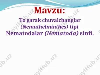 to'garak chuvalchanglar (nematoda) — PPTX