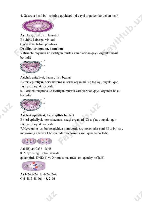 ik qonuni embrion rivojlanishida belgilarning ajralishi embrional divergensiya klaokalilar yexidna xaltalilar kenguru savoli javobi juft tuyoqlilar bug’u myuller va gekkel ilgari surgan biogenetik qonun savoli uruglangan tuxum hujayra o’q sklet embrionning o’xshashlik embrion rivojlanishida belgilarning ajralishi klaokalilar xaltalilar juft tuyoqlilar myuller va gekkel ilgari surgan yangi mavzuni mustahkamlash. 1.k.ber tomonidan qaysi qonun ilgari surilgan? 2.embrional divergensiya deb nimaga aytiladi? 3.biogenetik qonun qaysi olimlar tomonidan ilgari surilgan? 4.postembrional rivojlanish davriga abiotik omillar qanday ta’sir ko'rsatadi? 5..akseleratsiya deb nimaga aytiladi? uning sababi nima? gomeostaz deb nimaga aytiladi? 3.yangi mavzu bayoni: 17 daqiqa irsiyat qonunlarini dastlab chex olimi gregor mendel tomonidan 1865- yilda e’lon qilingan. uning tadqiqotlari uzoq vaqtgacha to‘g‘ri baholanmay kelindi. 1900-yil korrenslar tomonidan qayta kashf etildi va tasdiqlandi. shuning uchun 1900- yil yilda mendel tadqiqotlari uch yirik olim g.de-friz, e.chermak va k.korrenslar tomonidan qayta kashf etildi. shuning uchun 1900-yil biologiyaning yangi sohasi - genetikaga asos solingan yil hisoblanadi genetika yunoncha “genetikos” …