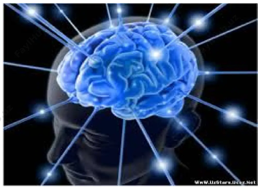 zilmalari ta’sirotni sezadi, ta’sirot energiyasining nerv qo’zg’alishi energiyasiga aylantiradi, bu energiya nerv impulslari shaklida nerv tolalaridan o’tadi. nerv sistemasi murakkablashgan sayin va unda maxsus retseptor (sezuvchi) hujayralar iztisoslashgan sayin nerv sistemasi funksiyalari tobora turli-tuman bo’lib qolgan. nerv sistemasi refleks yo’li bilan ishlaydi. organizmda tashqi va ichki muhit ta’sirotlarini sezadigan retseptorlar bor. normal sharoitda organizmga tashqi muhit tirli-tuman va doimiy ta’sir ko’rsatishi tufayli retseptorlarda impulslar vujudga keladi, bular afferent nerv tolalari orqali markaziy nerv sistemasiga o’tadi; o’zgartirilgan impulslar esa markaziy nerv sistemasidan efferent nerv tolalari orqali ishchi a’zolar (muskullar, bezlar va h.k)ga kelib, ularni ishga soladi yoki ishlash tezligini o’zgartiradi. nerv sistemasining faoliyati qo’zg’alish va tormozlanish jarayonlariga asoslangan. etiboringiz uchun rahmat. image2.jpeg image3.jpeg image4.jpeg image5.jpeg image6.jpeg image7.jpeg image8.png image9.jpeg image10.jpeg image11.png image12.jpeg