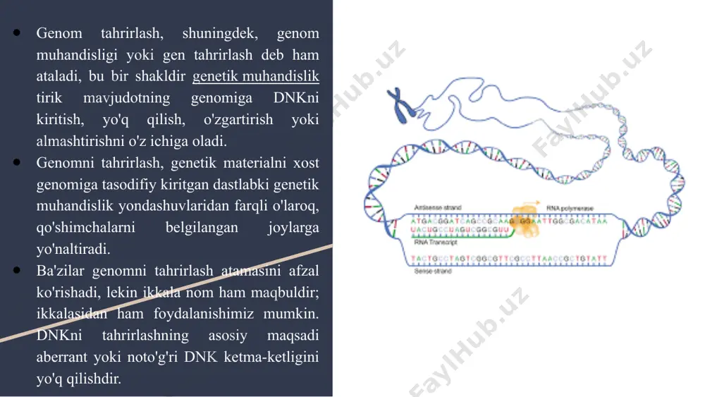 y o'zgarishlar naslga o'tishi mumkin. va genetik mutatsiya sodir bo'ladi. genomning bu mutatsiyaga uchragan hududini gen tahrirlash yordamida olib tashlash mumkin. inson genomi milliy tadqiqot instituti 2003 yilda yangi halqaro loyiha encode (ingl. encyclopedia of dna elements, o’zb. dnk elementlari entsiklopediyasi) ustida ish boshladi. loyihadan maqsad - olimlarning intilish va izlanishlarini birlashtirgan holda rnk va oqsillar darajasida faol bo’lgan elementlar, fundamental genetik jarayonlarni- transkriptsiya, translatsiya va replikatsiyani nazorat qiluvchi regulyator elementlar va inson genomi funktsional elementlarining to’liq ro’yxatini olish edi. genlarni tahrirlash turlari genetik jihatdan yaratilgan nukleaza fermenti molekulyar qaychi genni tahrirlash jarayonida hal qiluvchi rol o'ynaydi. shuning uchun, nukleaza turiga qarab, ko'plab genetik muhandislik texnikasi o'nlab yillar davomida qo'llanilgan. bu yerda uchta asosiy texnika mavjud: zfns (sink barmoq nukleazasi) talen (transkripsiya faollashtiruvchisiga o'xshash effektorga asoslangan nukleaz) crispr-cas9 (klasterli muntazam intervalgacha qisqa palindromik takrorlar) so’nggi bir necha yillar ichida genomlarni tahrirlash uchun talen, zinc finger va crispr/cas9 (inglizcha crispr - …