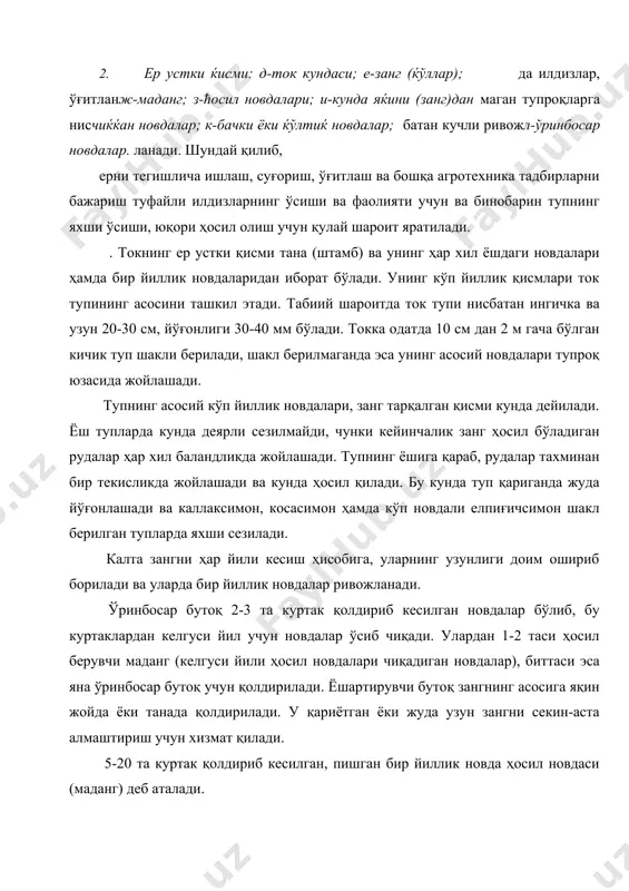 ар тез етилувчан бўлади, тиним даврини ўтмайди, улардан шу йилнинг ўзидаёқ иккинчи тартиб новдалар ривожланади. қўлтиқ новдаларнинг асосида қишловчи куртаклар ривожланади, келгуси йили улардан асосий новда чиқади. бу новда қўлтиқ новдалар заиф бўлганда ҳам шакллана боради; қишловчи куртак ҳосил бўлгандан сўнг пишмаган қўлтиқ новдалар нобуд бўлади. қўтиқ новдаларнинг етилмаган биринчи баргчаси қўлтиғида жойлашган пастки куртак дифференциалланади ва кўзчага айланади. бу куртак иккита умумий тангача (қобиқ) билан, унинг устидан тукчалар билан қопланган. токда ҳам барг бошқа ўсимликлар сингари асосий қисм бўлиб, фотосинтез натижасида пластик моддалар ишлаб чиқилади. тупда барг қанча кўп бўлса фотосинтез ҳодисаси кучли боради, кўп озиқ моддалар ишлаб чиқилади ва натижада сифатли мўл ҳосил олинади. ток барглари оддий бўлиб барг юзаси кенг, атрофлари нав белгисига қараб чуқур ва юза кесилган бўлади. бир гектар токзорда ўртача 2-5 гектаргача барг юзаси бўлади. баргларда транспирация ҳодисаси кучли боради. бир гектар токзорнинг барг юзасидан, масалан оқ кишмиш навида бутун ўсув даврида ii минг …