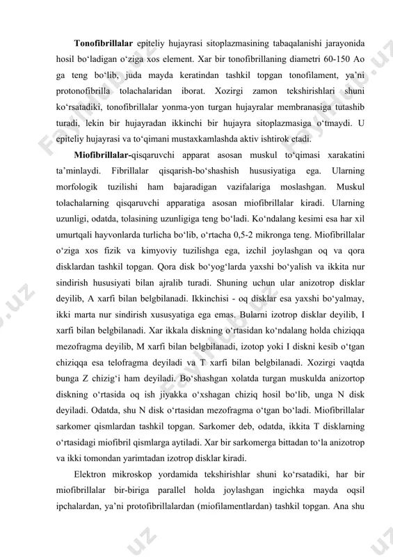xususyatiga ega emas. bularni izotrop disklar deyilib, i xarfi bilan belgbilanadi. xar ikkala diskning o‘rtasidan ko‘ndalang holda chiziqqa mezofragma deyilib, m xarfi bilan belgbilanadi, izotop yoki i diskni kesib o‘tgan chiziqqa esa telofragma deyiladi va t xarfi bilan belgbilanadi. xozirgi vaqtda bunga z chizig‘i ham deyiladi. bo‘shashgan xolatda turgan muskulda anizortop diskning o‘rtasida oq ish jiyakka o‘xshagan chiziq hosil bo‘lib, unga n disk deyiladi. odatda, shu n disk o‘rtasidan mezofragma o‘tgan bo‘ladi. miofibrillalar sarkomer qismlardan tashkil topgan. sarkomer deb, odatda, ikkita t disklarning o‘rtasidagi miofibril qismlarga aytiladi. xar bir sarkomerga bittadan to‘la anizotrop va ikki tomondan yarimtadan izotrop disklar kiradi. elektron mikroskop yordamida tekshirishlar shuni ko‘rsatadiki, har bir miofibrillalar bir-biriga parallel holda joylashgan ingichka mayda oqsil ipchalardan, ya’ni protofibrillalardan (miofilamentlardan) tashkil topgan. ana shu ipchalarning biri yo‘qon, ikkinchisi ingichka bo‘ladi. yo‘qon protofibrillalarning ko‘ndalang kesimi 100-250 ao ga, ingichka protofibrillalarning ko‘ndalang kesimi 50-70 ao ga teng. yo‘qonlarining uzunligi 1,5-2 mk bo‘lsa, …