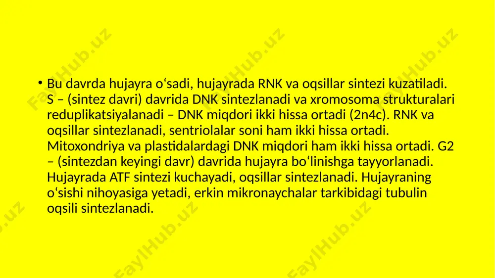 mitozning biologik ahamiyati - Page 4