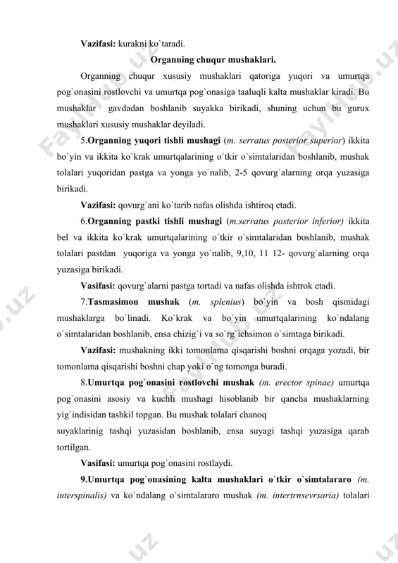 el soxasiga kelib, fassiya qalinlashadi va orqa aponerozini hosil qiladi. uning bevosita davomidan qorin mushaklari boshlanadi. gavdaning old tomonidagi mushaklar. gavdaning old tomonidagi mushaklar ko`krak va qorin mushaklariga bo`linadi. ko`krak mushaklari joylashishiga qarab yuza va chuqur joylashgan mushaklar guruxiga bo`linadi. yuza mushaklari: (ko`krakning katta va kichik o`mrov osti, ko`krakning oldingi tishli mushaklari) ko`krak qafasidan boshlanib, qo`l suyagiga birikadi. chuqur (xususiy) mushaklarni qovurg`alararo ichki va tashqi (m. intercstalis interna et externa) mushaklar guruxi tashkil etadi. 1.ko`krakning katta mushagi (m. pectoralis major) to`sh va o`mrov suyagidan boshlanib, yelka suyagining katta do`mbog`iga birikadi. vazifasi: qo`lni pastga tushirib tanaga yaqinlashtiradi, qo`ltiq osti chuqurchasining oldingi devorini hosil qiladi. 2.ko`krakning kichik mushagi (m. pectoralis minor) ko`rakning katta mushagi ostida 2-5 qovurg`aning oldingi (to`shga yaqin)qismidan boshlanadi. mushak tolalari yuqori va yonga yo`nalib ko`krakning tojsimon o`simtasiga birikadi. vazifasi: ko`krakni yuqoriga yo`naltirib qovurg`alarga yopishtiradi. 3.o`mrov osti mushagi (m. subclavius) o`mrov suyagi bilan birinchi qovurg`a oralig`ini to`ldirib turuvchi kalta mushakdir. …