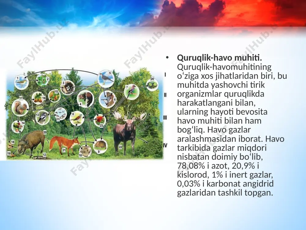 o‘qimaning rivojlanishi katta ahamiyatga ega. iqlim omillarining keskin o‘zgaruvchanligi esa o‘simliklarda qoplovchi to‘qimalarning hosil bo‘lishiga sabab bo‘ldi. hasharotlar va qushlarda uchishga moslanishlar yuzaga keladi. havo massalarining harakati ayrim mayda organizmlar (o‘rgimchaklar, hasharotlar) ning passiv tarqalishini ta’minlaydi. evolutsiya jarayonida hayvonlarda tashqi (bo‘g‘imoyoqlilar) va ichki skeletning (xordalilar) mukammallashuvi havo zichligining pastligi bilan bog‘liq. tuproq muhiti. yer po‘stining g‘ovak, unumdor yuza qatlami tuproqdeyiladi. tuproq iqlim va biologik omillar ta’sirida hosil bo‘lgan. qattiq tuproq zarralari orasida havo va suv bo‘ladi. tuproq organizmlarning yashash muhiti sifatida katta zichlikka egaligi, yorug‘likning bo‘lmasligi, haroratning kam darajada o‘zgarishi, kislorod miqdorining kam, karbonat angidrid miqdorining ko‘p bo‘lishi kabi xususiyatlar bilan xarakterlanadi. tuproqning yuqori qatlamida o‘simliklarning ildizlari o‘rnashgan bo‘lib, ularning hayotiy jarayonlari mobaynida va nobud bo‘lgandan so‘ng tuproq qatlamini yumshatib, tuproqda yashovchi organizmlar hayoti uchun sharoit yaratadi. tuproqda yashovchi hayvonlar tuproq massasini aralashishini ta’minlaydi. o‘simlik va hayvonlarning tuproqda hayot kechirishga moslanishi. quruq iqlim sharoitlarida o‘sadigan o‘simliklarda suv tanqisligi kuzatiladi. kuchli …