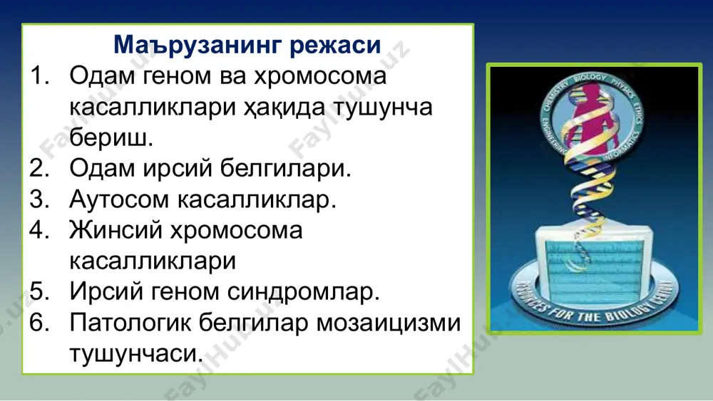 гидан пайдо бўлади. ҳозирги кунда хромосоманинг сони ва структурасининг ўзгариши натижасида содир бўладиган ирсий касалликлардан 700 га яқини маълум. хромосома ирсий касалликлари аутосомаларнинг ва жинсий хромосомаларнинг сони ва структурасининг ўзгариши билан юзага чиқиши мумкин. бу касалликларнинг фақат 3-5 % игина авлоддан авлодга ўтади. спонтан абортларнинг 50 % и ва ўлик туғилганларнинг 7 % и хромосома бузилишлари билан боғлиқ. бу касалликларнинг25 % и аутосом трисомиялар, 46 % жинсий хромосомалар патологиясига тўғри келади. хромосома аберрациялари 10,4 % ни ташкил этади: асосан делеция ва транслокациялар кўп учрайди. барча хромосома касалликлари иккита гуруҳга бўлинади: хромосомалар сони аномалияси билан боғлиқ хромосома структурасининг бузилиши билан боғлиқ патологияда кариотип: жинсий хромосомаларда миқдорий ўзгаришлар: 47 ххх –х хромосома бўйича трисомия синдроми; 47 хху –клайнфелтер синдроми; 47 хуу – синдром поли у; 45 хо –шерешевсий – тернер синдроми (моносомия). 2. аутосомаларда миқдорий ўзгаришлар: 47 хх(ху)+ 21 –даун синдроми; 47 хх (ху)+ 13 –патау синдроми; 47 хх(ху) +18 –эдвардс синдроми …