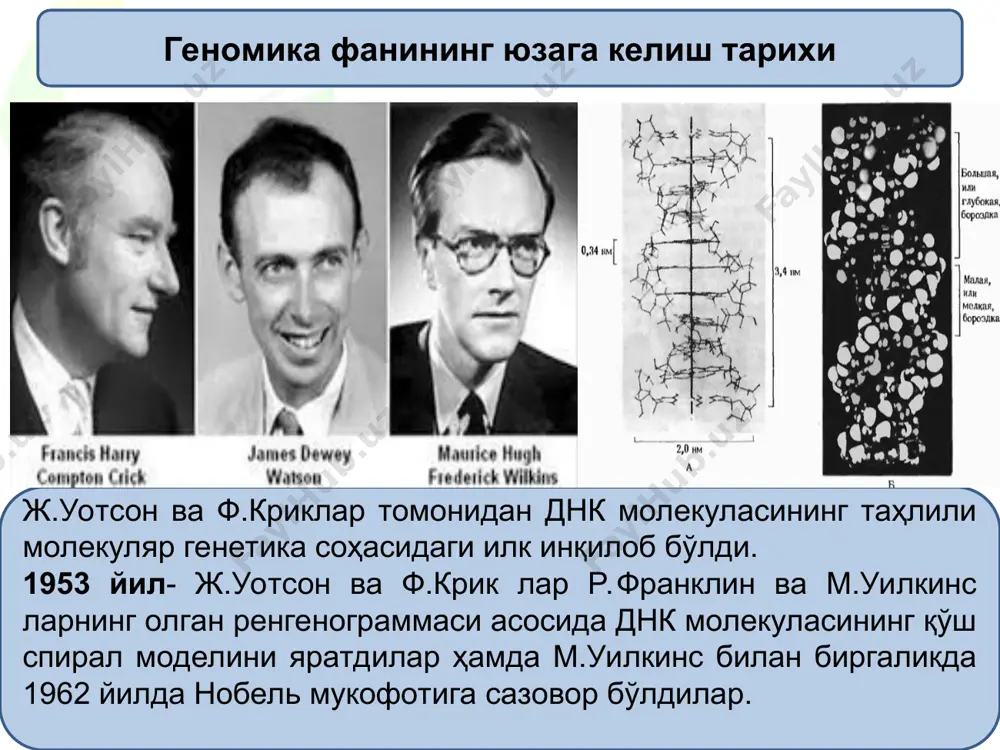 ng genomini sekvenslash ishlari nihoyasiga etdi.