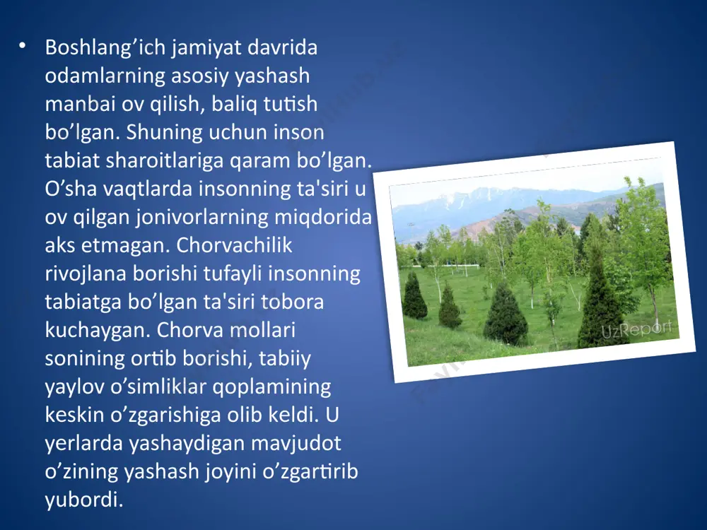 r tabiatni himoya qilish haqidagi qarorlarni, tadbiriy choralarni izchillik bilan amalga oshirmoqdalar.tabiatni saqlash ishlariga yoshlar kеng jalb qilingan, hozir mamlakatimizda maktab o’quvchilari ham bu ishda faol qatnashyapti. ular katta-katta maydonlardagi o’rmonzorlar, yaylovlar, suv havzalari va hokazolarni himoya qilishmoqda. millionlab ko’chatlar o’tqazilyapti. mamlakatimizda tabiatni muhofaza qilish ishlarining nazariya asoslarini yaratish sohasida katta ishlar qilinayotir. image1.jpeg image2.jpeg image3.jpeg image4.jpeg image5.jpeg image6.jpeg image7.jpeg image8.jpeg image9.jpeg /docprops/thumbnail.jpeg