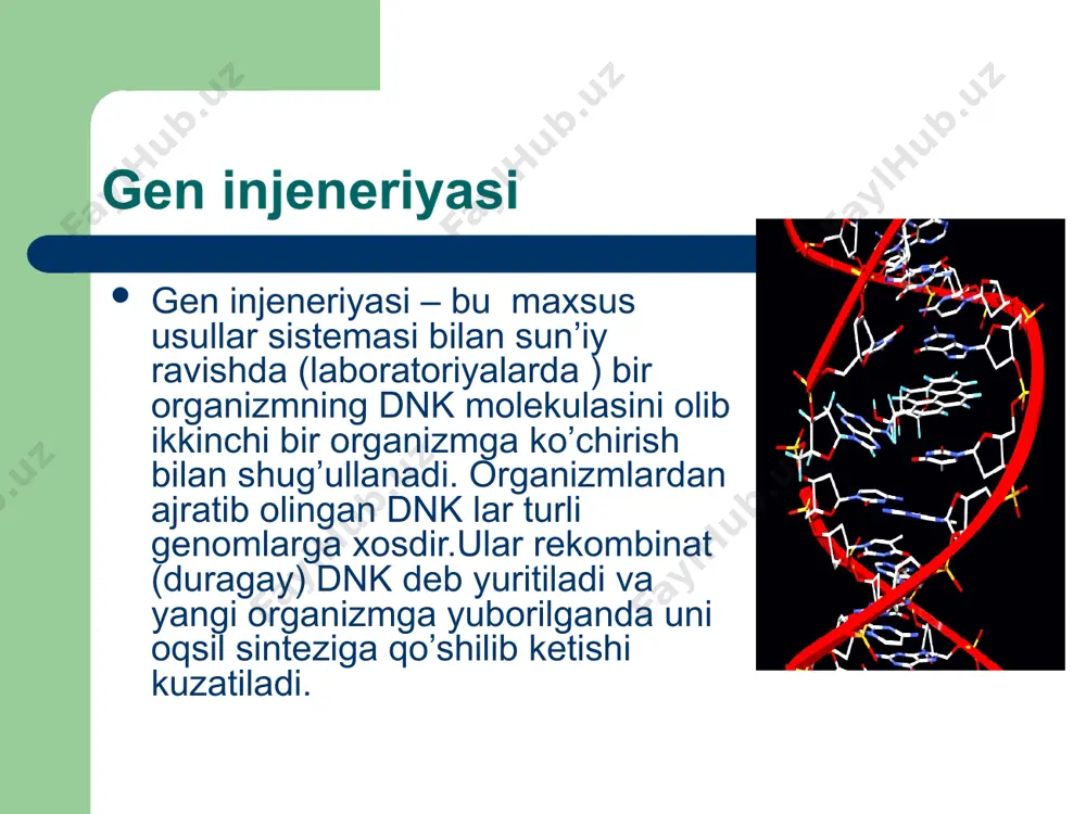 chirishda vositalar ( vektorlar) va to’g’ridan-to’g’ri genning o’zini ko’chirish yo’li mavjud. vektor – bu dnk yoki rnk molekulasi va unga berkitilgan begona gendan iborat . vektorlarga quyidagi talablar qo’yilgan. u katta bo’lmasligi va u kerakli gen yoki genlarni o’zida biriktirishi, u replikasiya xususiyatiga ega bo’lishi, bir necha bor ko’payishi ( amplifikasiya) va kup miqdorda nusxa hosil qilishi, vektor dnk molekulasi bir necha nukleotidlardan ketma-ketligidan iborat bo’lishi va restriktaz fermenti yordamida genni klonlash .ligazalar yordamida klonlashtiriladigan gen vektor bilan bitta yagona dnk holatiga keltirilishi: vektor o’z tarkibiga olgan genning ishlab ketishini ta’minlashi, oxiri uning kerakli organizm to’qimasiga quyish. gen injeneriyasida birinchi etapda genni ajratib olish gen injeneriyasida birinchi etapda genni ajratib olish lozim. ximiyaviy sintezlash asosida olinadi. x genni ti plazmida yordamida vektor usulida ko’chirish: begona genni to’g’ridan-to’g’ri ko’chirish. bunda quyidagi usullardan foydalaniladi. a) mikroineksiya b) elektroporaksiya v) liposomaga yig’ish g) transformasiya d) protoplastlarni qo’shish. yakka dnk ni o’zini ko’chirishda o’simlik …