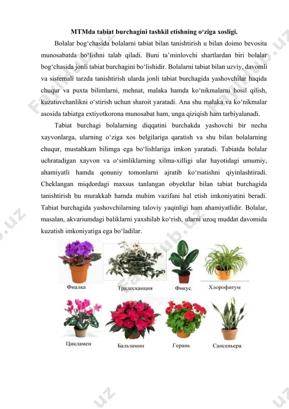 tlari bilan tanishtirish imkoni yaratiladi; · tabiat burchagida yashovchilarni parvarish qilish, qilinadigan mehnatning sifati, xarakteri, unga sarflanadigan kuch va vaqtiga ko‘ra maktabgacha yoshdagi bolalarning yoshiga mos (tarbiyachining ishtiroki va rahbarligi ostida) bo‘lishi lozim. shuning uchun «beor» o‘simliklar va ovqatni tanlamaydigan xayvonlar tanlanadi; · tabiat burchagidagi xayvon va o‘simliklar tashqi ko‘rinishidan yorqin, jozibador, maktabgacha ta’lim yoshidagi bolalarning hali unchalik barqaror bo‘lmagan diqqatini o‘ziga jalb qila oladigan bo‘lishi kerak; · tabiat burchagida bu turdagi o‘simlik va xayvonlarning bir necha xili mavjud bo‘lishi lozim. chunki bolalar kuzatish obyektida faqat umumiy belgilarnigina emas, balki o‘ziga xos xususiyatli belgilarni ham ko‘ra olishlari kerak. bu bolalarning tirik organizmlarning xilma-xilligi hamda takrorlanmasligini bilib olishlariga yordam beradi; · tabiat burchagida o‘simlik va xayvonlar tamoman xavfsiz bo‘lishi, bolalarning sog‘liqlariga hech qanday zarar yetkazmasligi lozim; · o‘simlik va xayvonlarning bolalar muassasasi binosidagi hayot faoliyati, o‘sishi va rivojlanishida binoning doimiy haroratini, karbonat angidrit gazining konsentratsiyasini, quruqligini, shovqin-suronning mavjudligini hisobga olish lozim. …