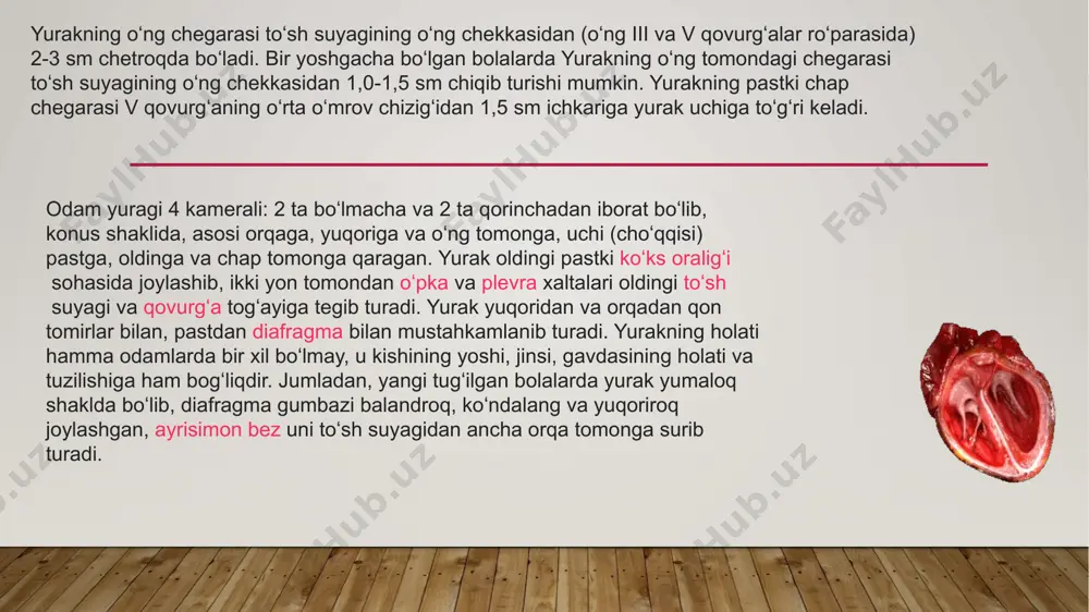 yurak haqida ma'lumot - Page 4