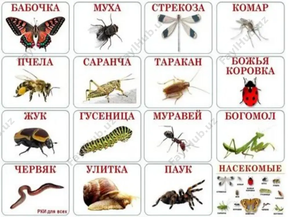 дециметр, сантиметр, миллиметр - Page 5